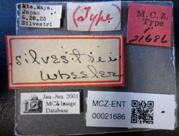 Media type: image;   Entomology 21686 Aspect: labels